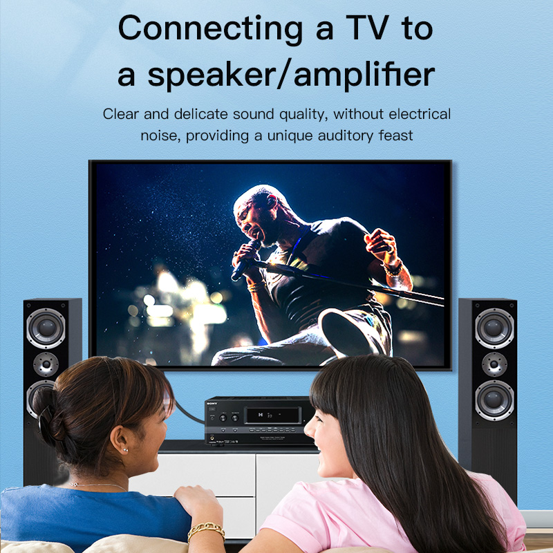CHOSEAL RCA Cable Digital Coax - Home Cinema Subwoofer ulasan dan harga